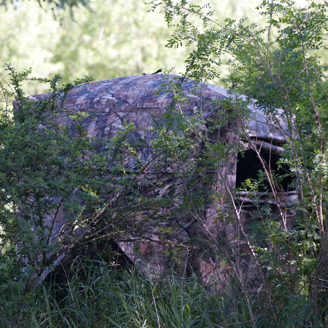 Tarnversteck - HuntElite