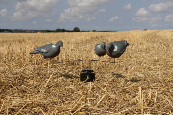 Taubenkaruselle Model Handy.