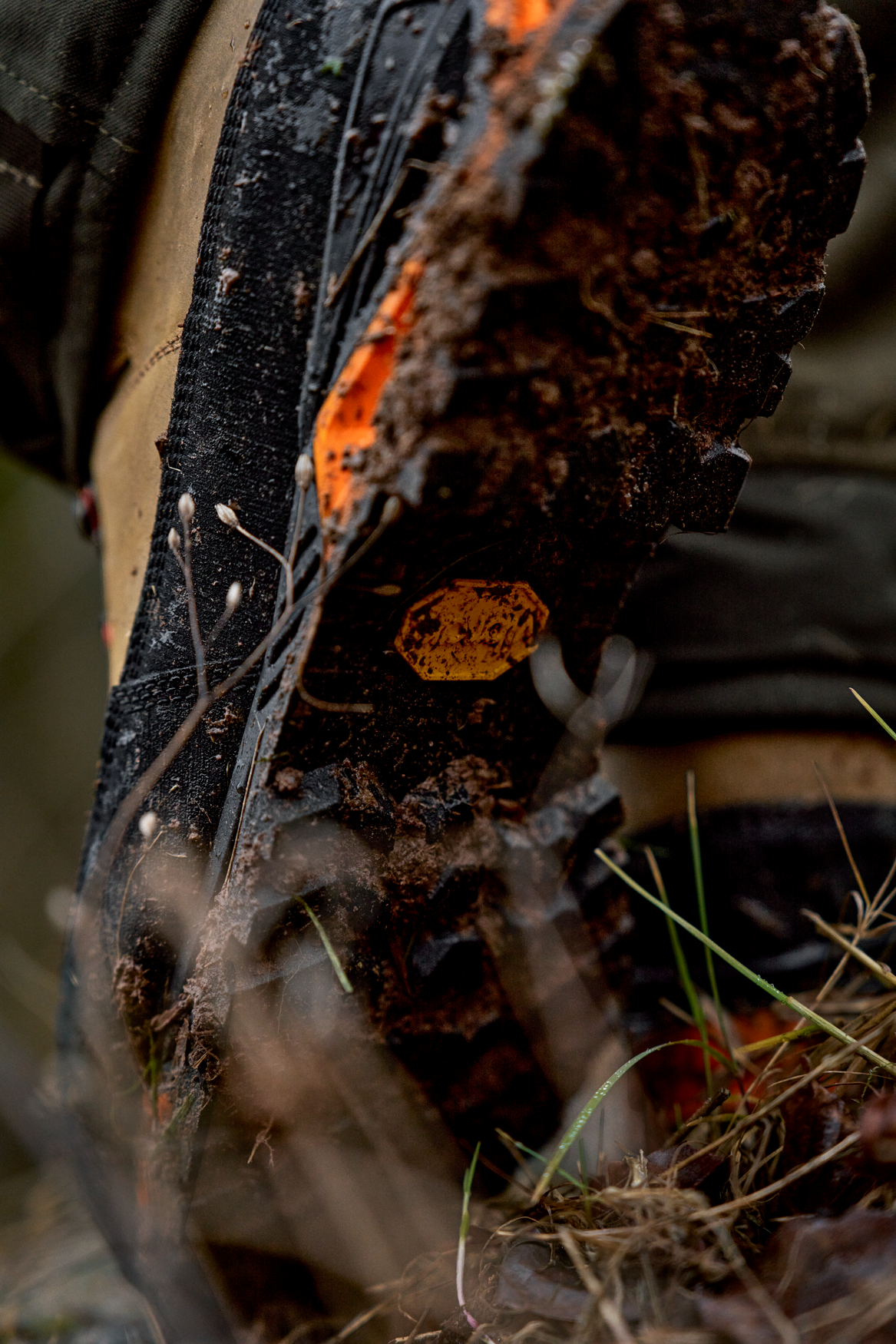 Saxnäs GTX Orange - Mid Brown//Orange – Härkila