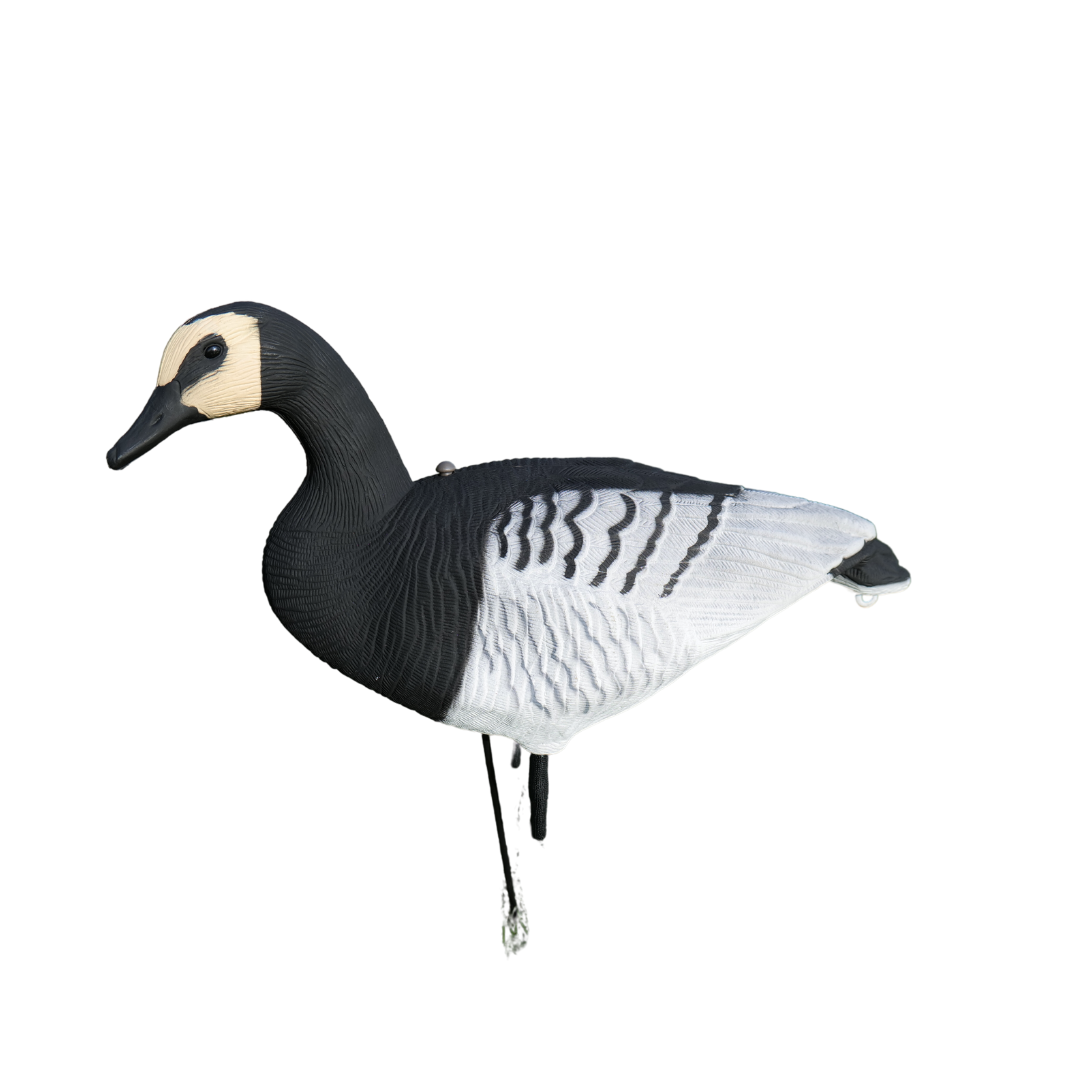 Ganzkörper - Ringelgans - 12 Stück - HuntElite