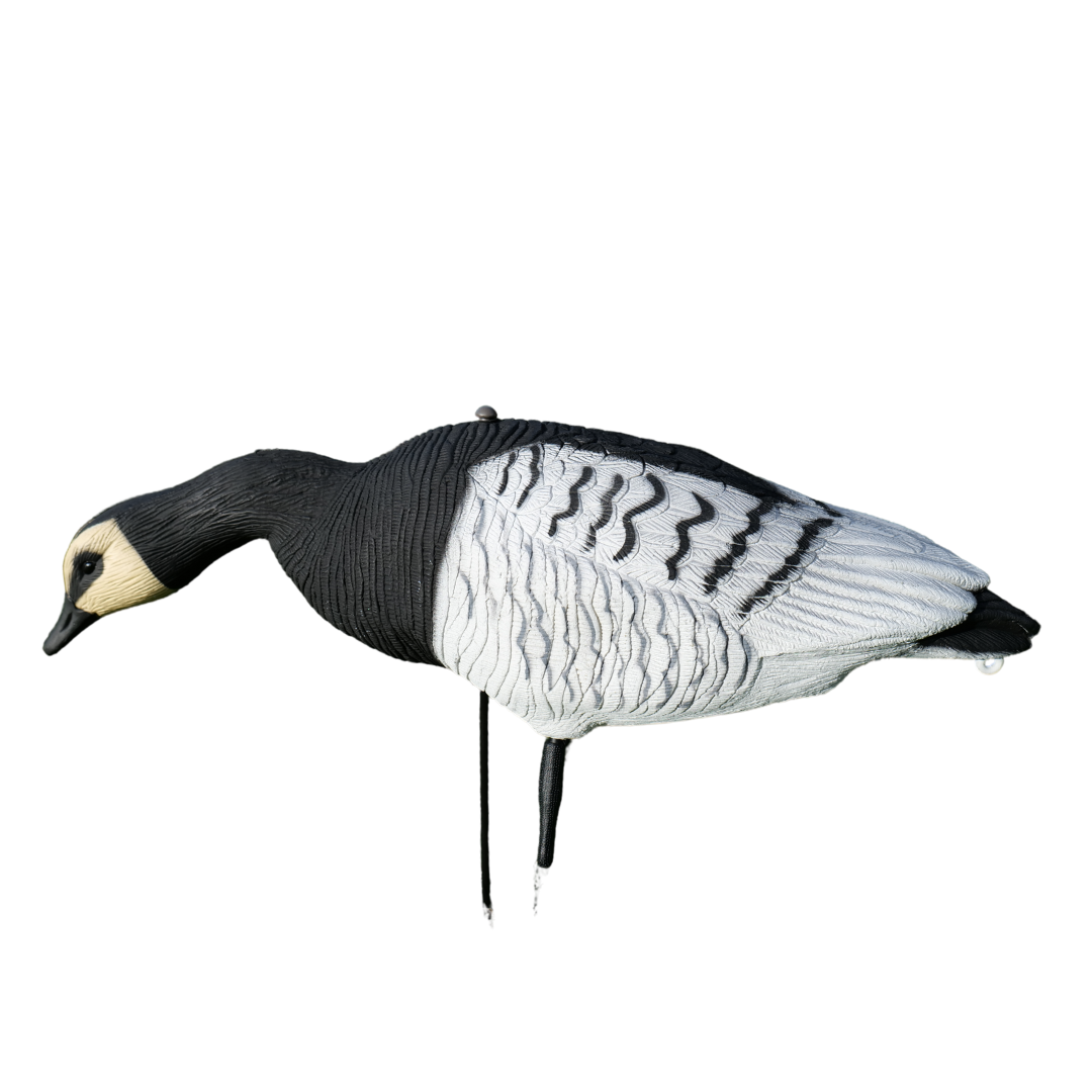 Ganzkörper - Ringelgans - 12 Stück - HuntElite