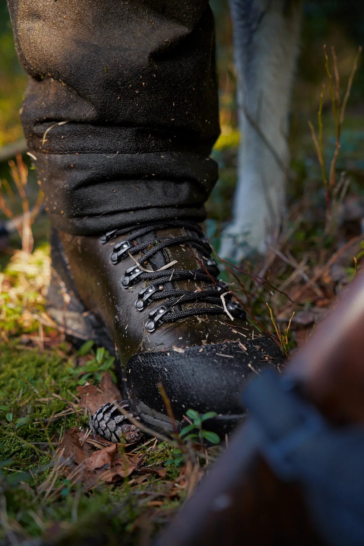 Stiefel Forest Hunter Mid GTX - Willow green - Härkila
