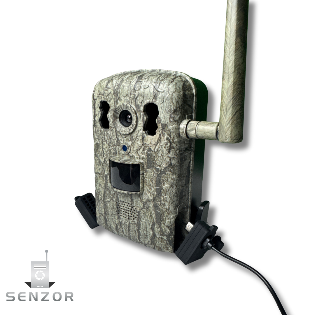 Live Wildkamera 1.0 inkl. Solarpanel und App – Senzor