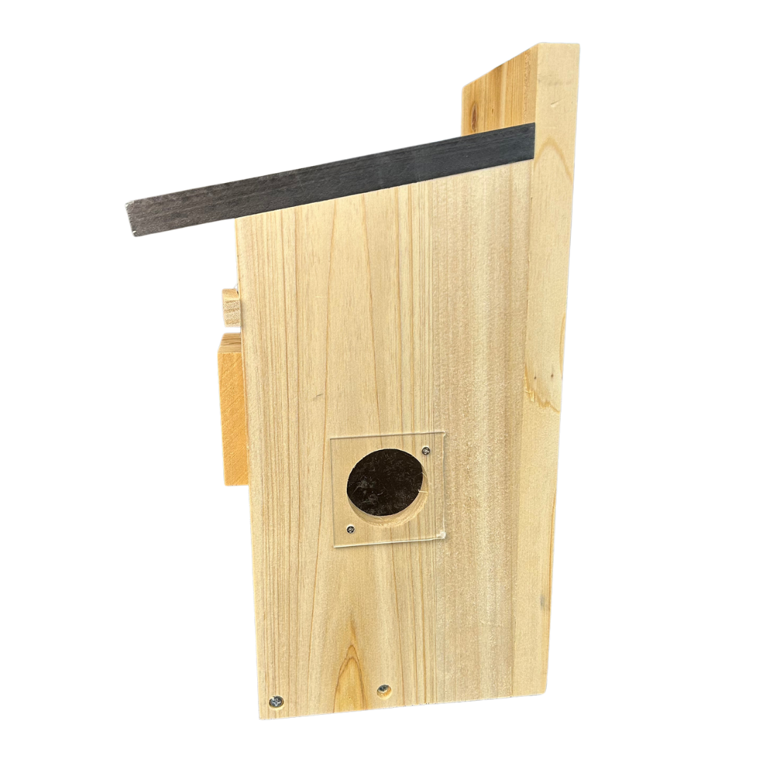 Vogelhaus mit Kamera – HuntElite