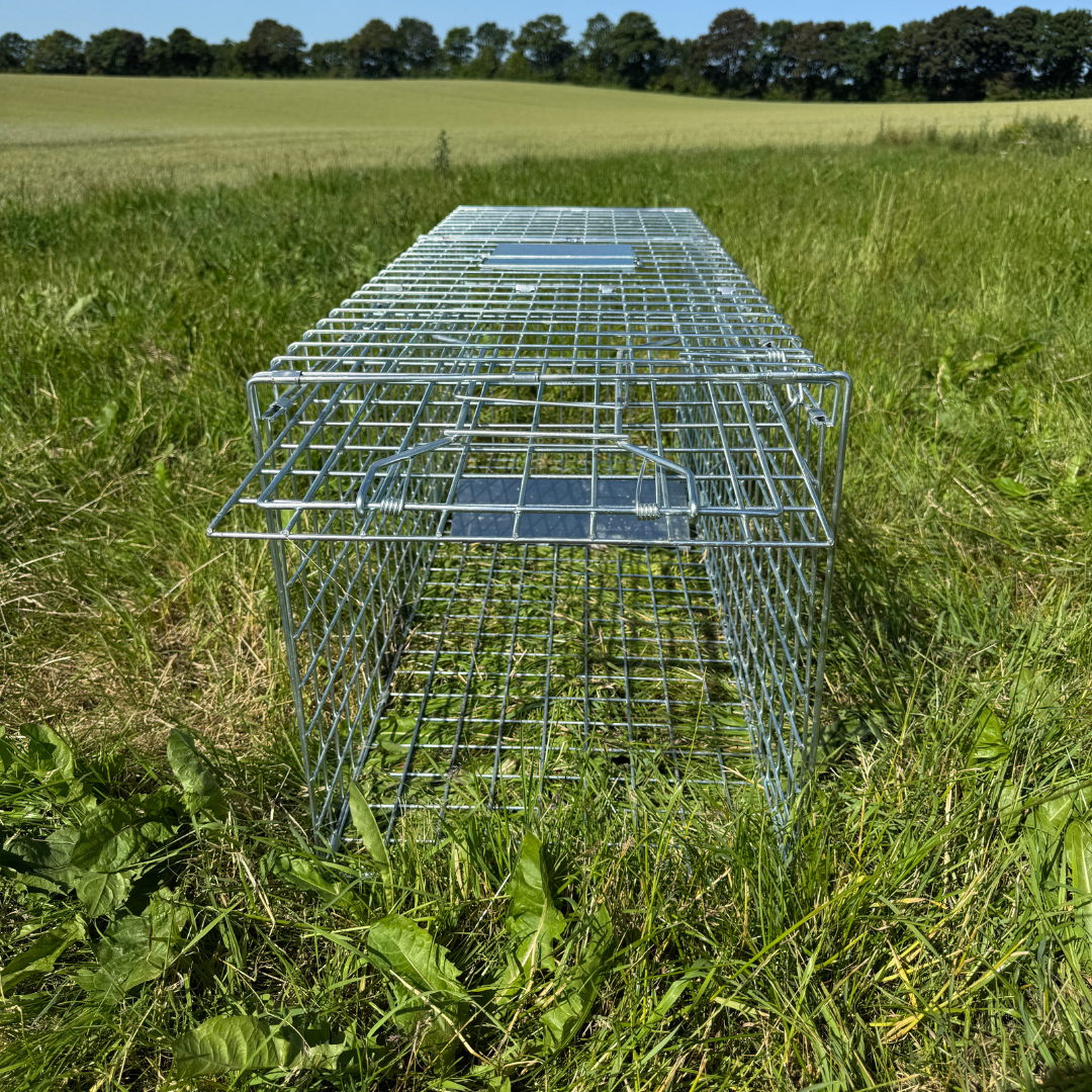 Fuchsfalle – HuntElite
