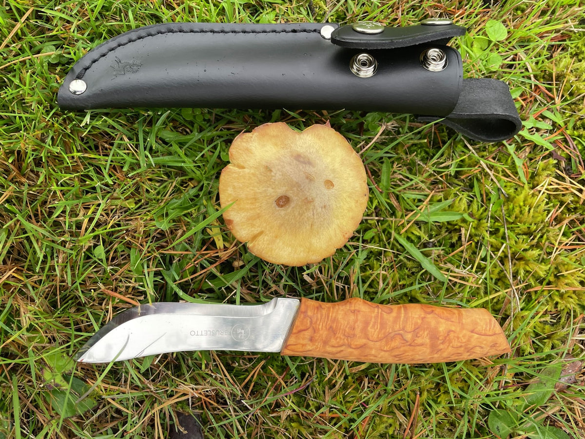 Skinner Masur – Brusletto