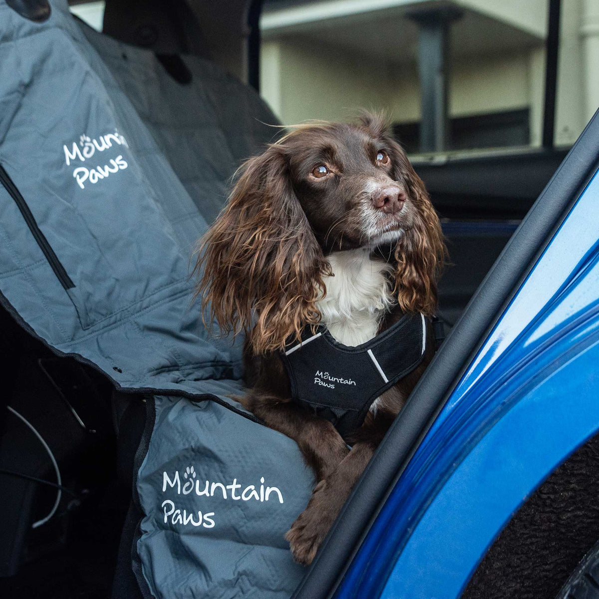 Extra robuster Hundesitzbezug fürs Auto – Mountain Paws