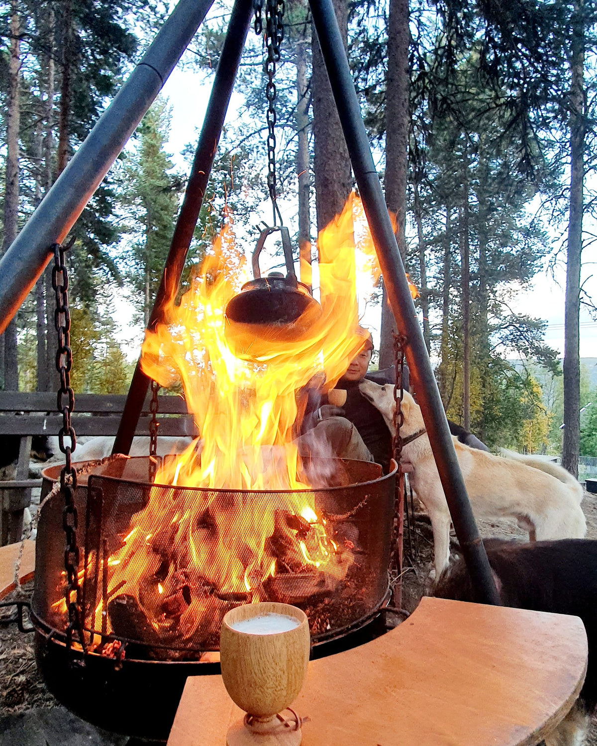 Weinbecher aus Holz - Øyo