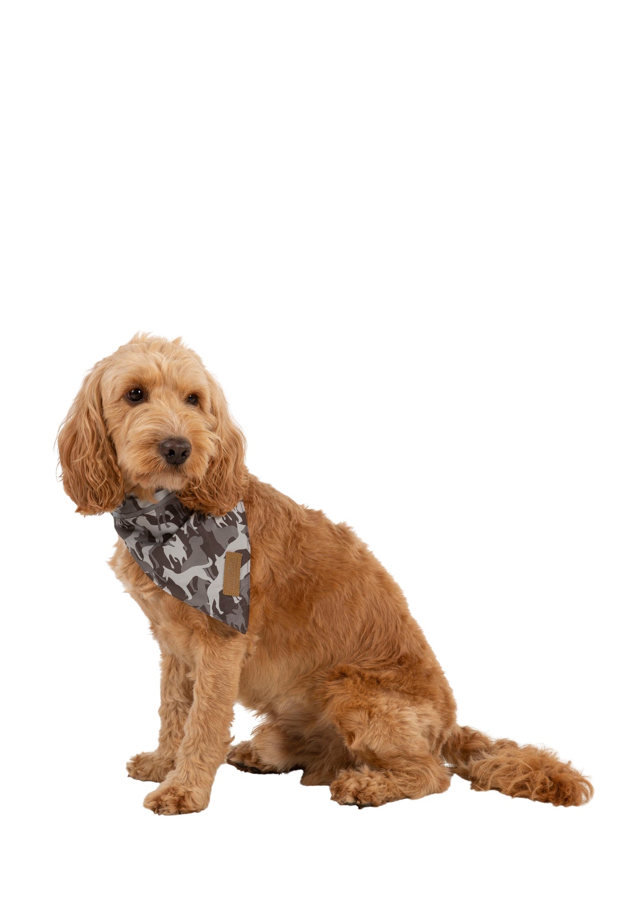 Alpha - Grey Dog Camo - Trespass