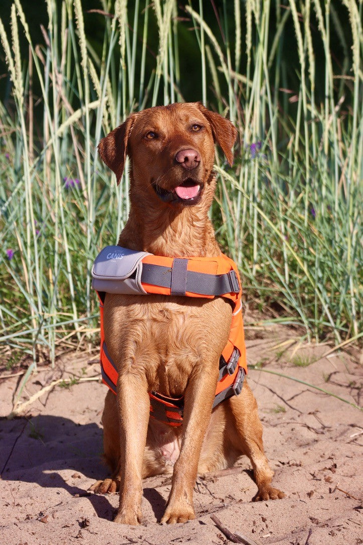 Life Jacket XL