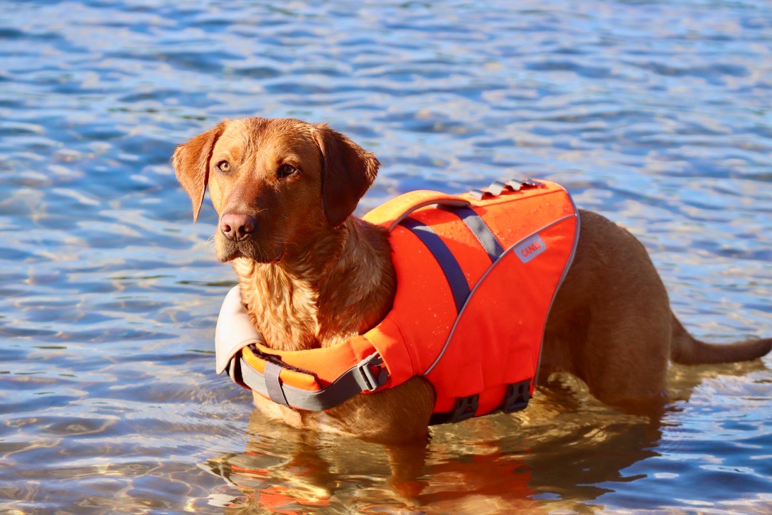 Life Jacket M