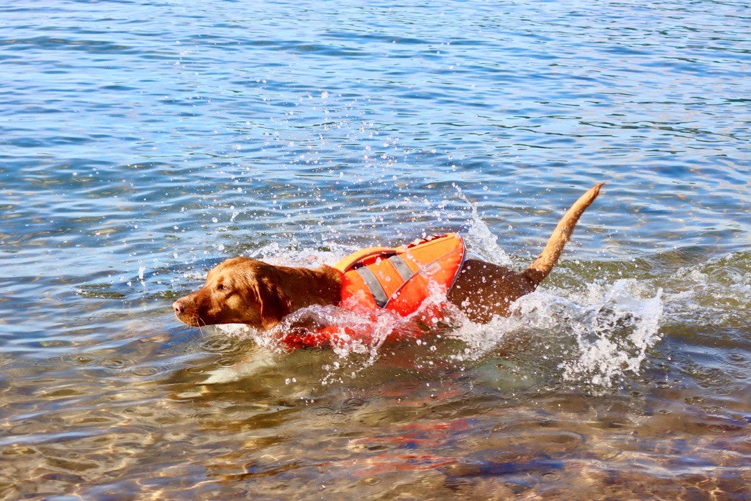 Life Jacket M