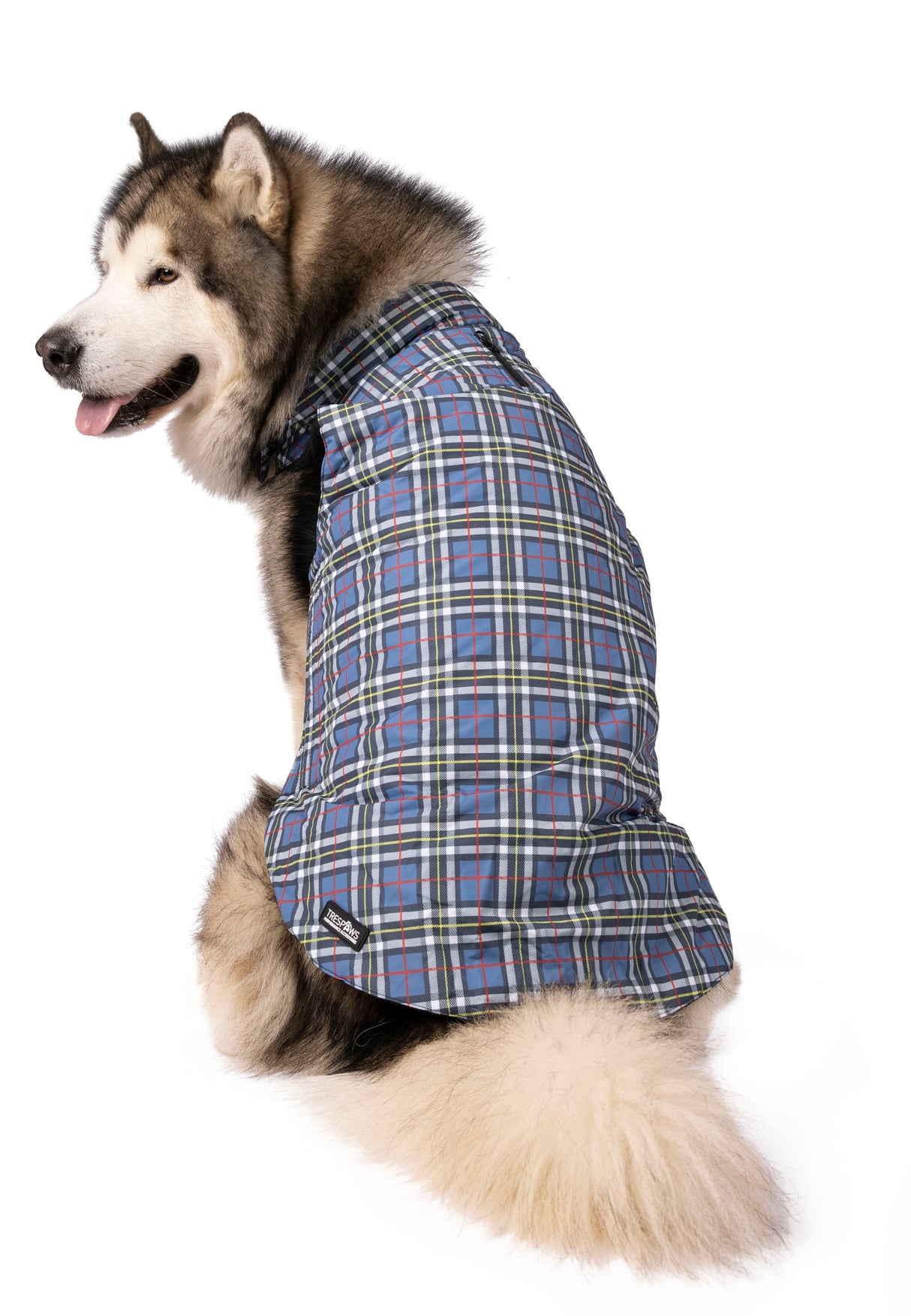 Charly - Tartan Print - Trespass