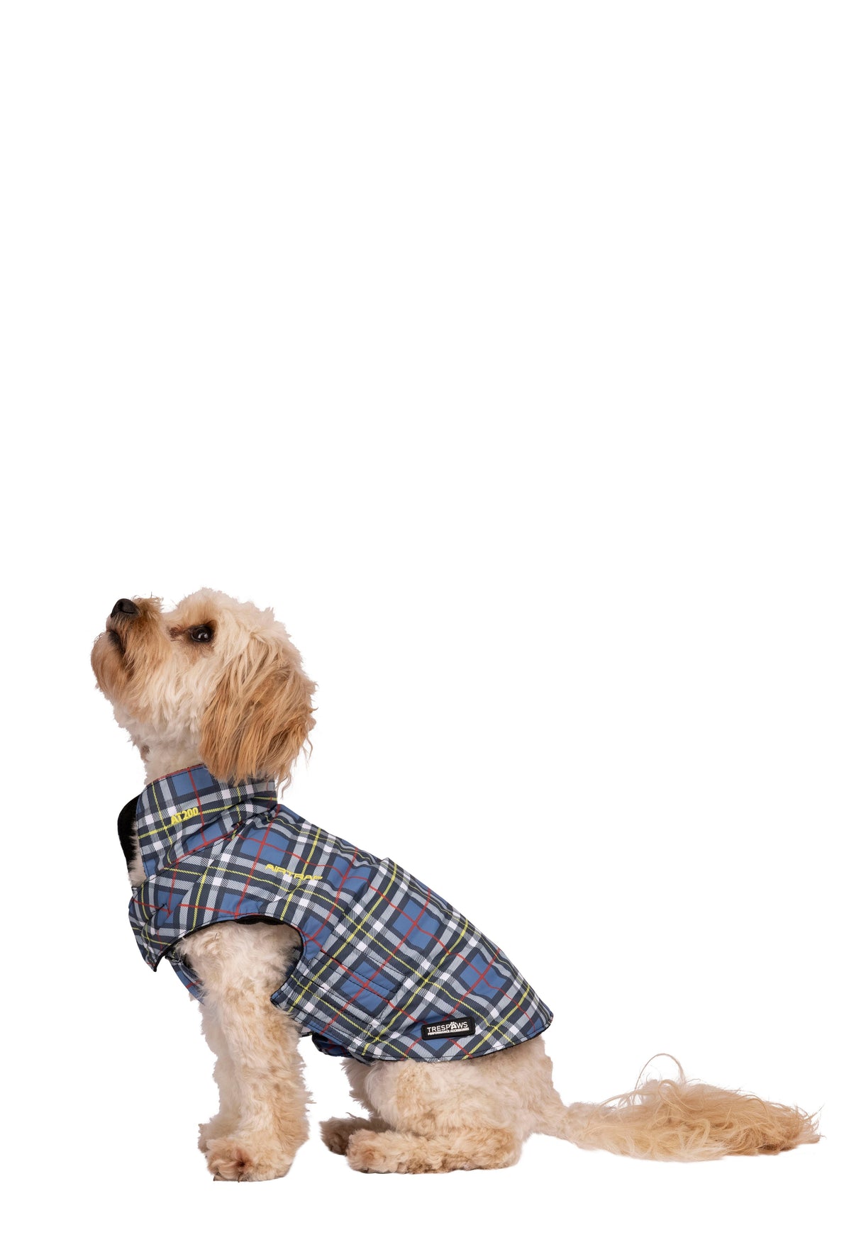 Charly - Tartan Print - Trespass