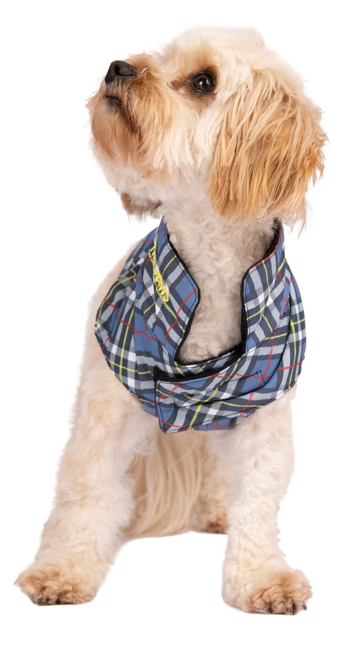 Charly - Tartan Print - Trespass