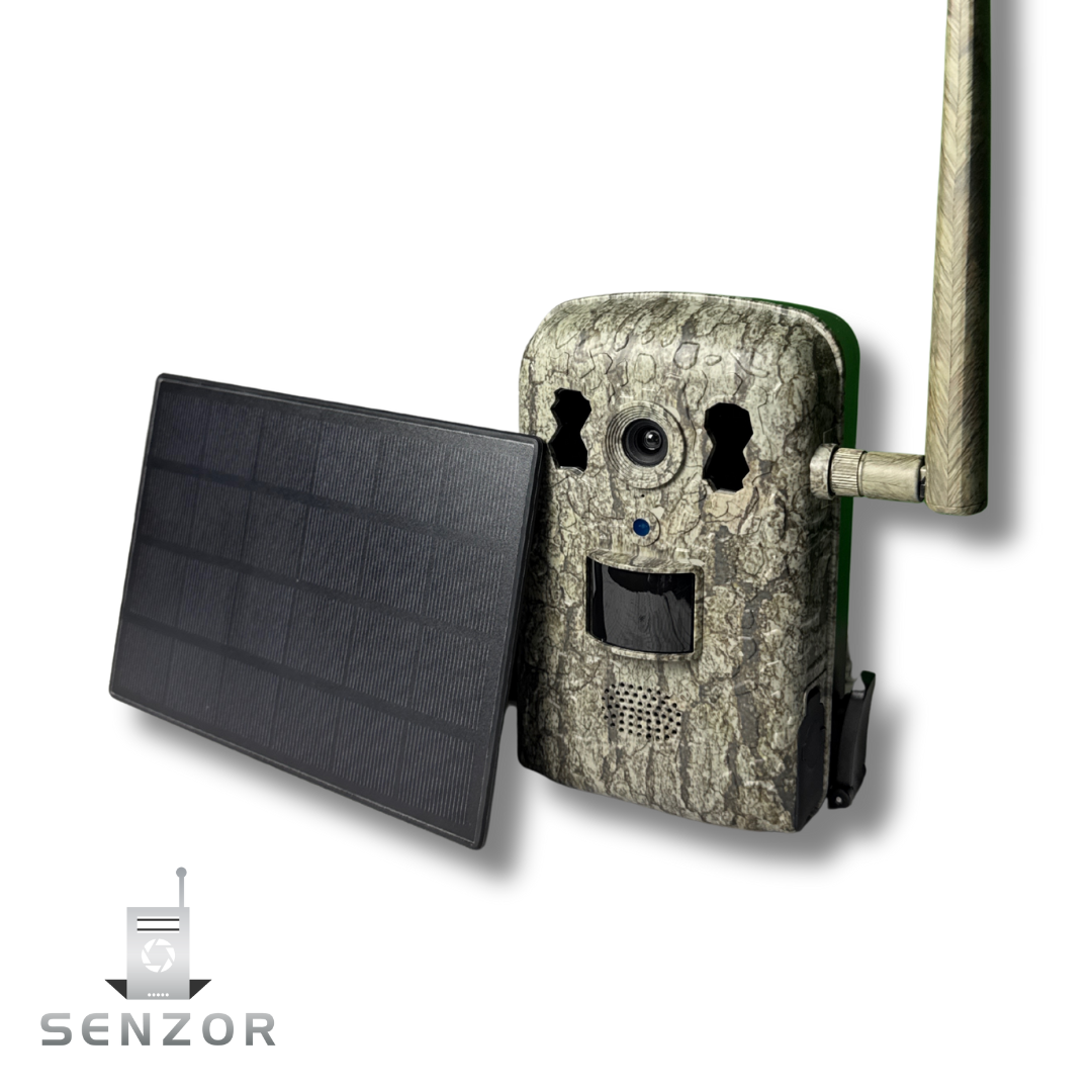 Live Wildkamera 1.0 inkl. Solarpanel und App – Senzor
