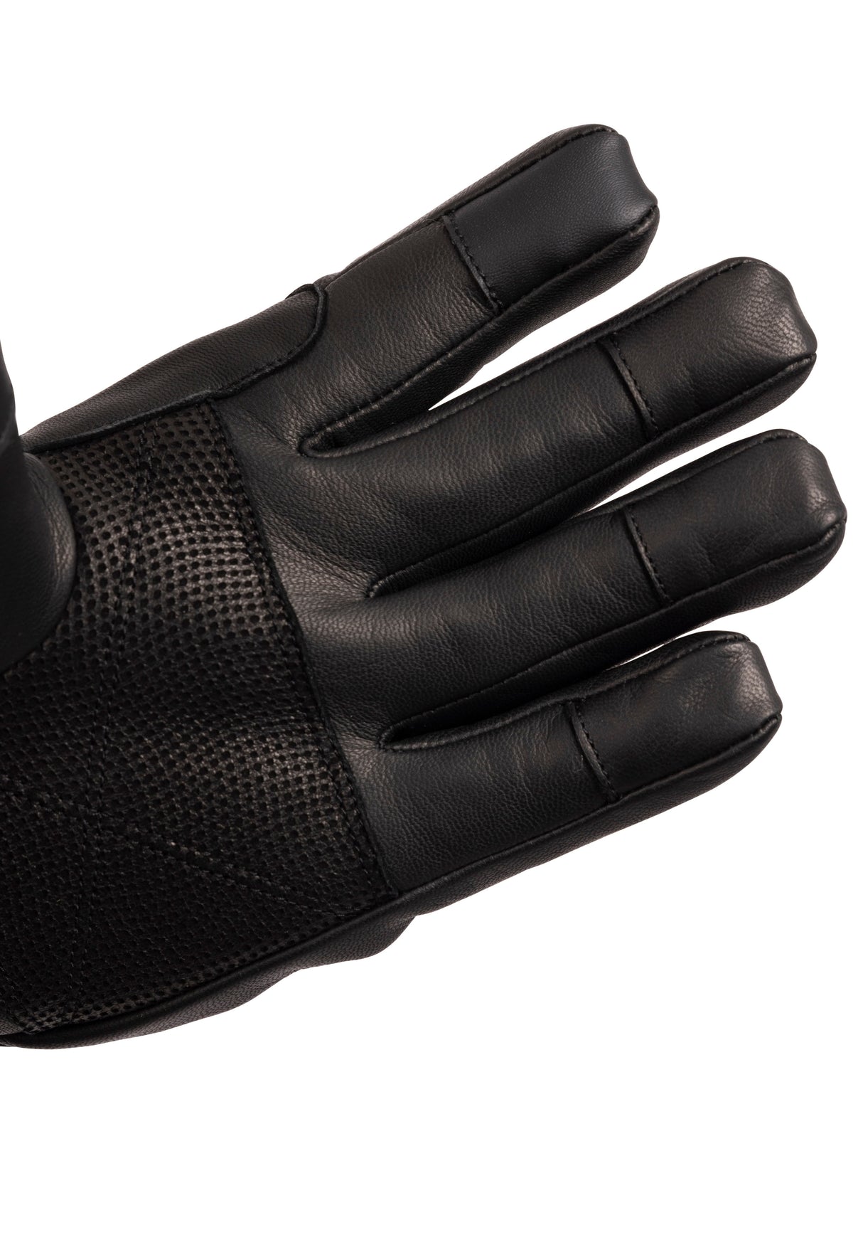 Edonia - Black - Trespass