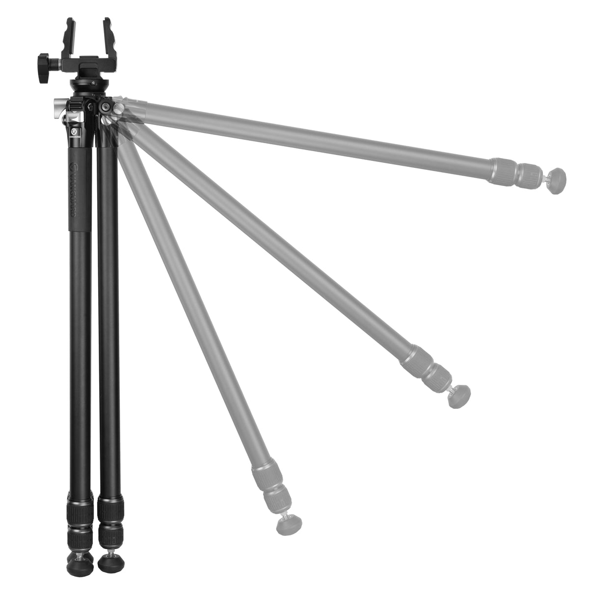 Stativ Endeavor L Aluminium m. GM-65 Kopf - Vanguard