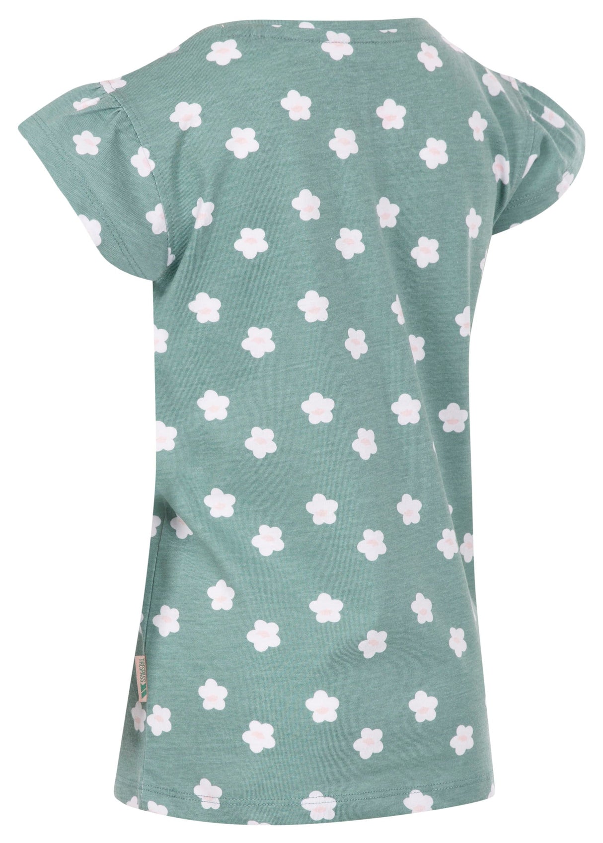 Present - Teal Mist - Trespass