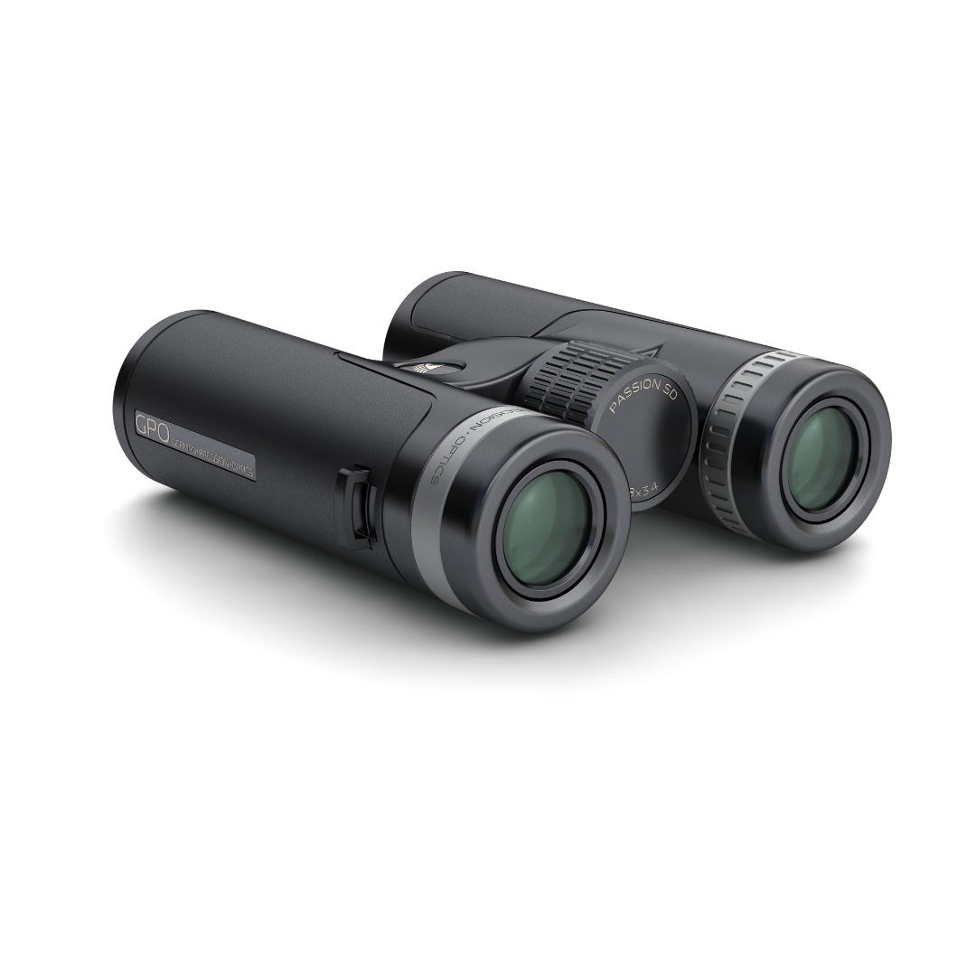 PASSION SD - 10x26 – GPO