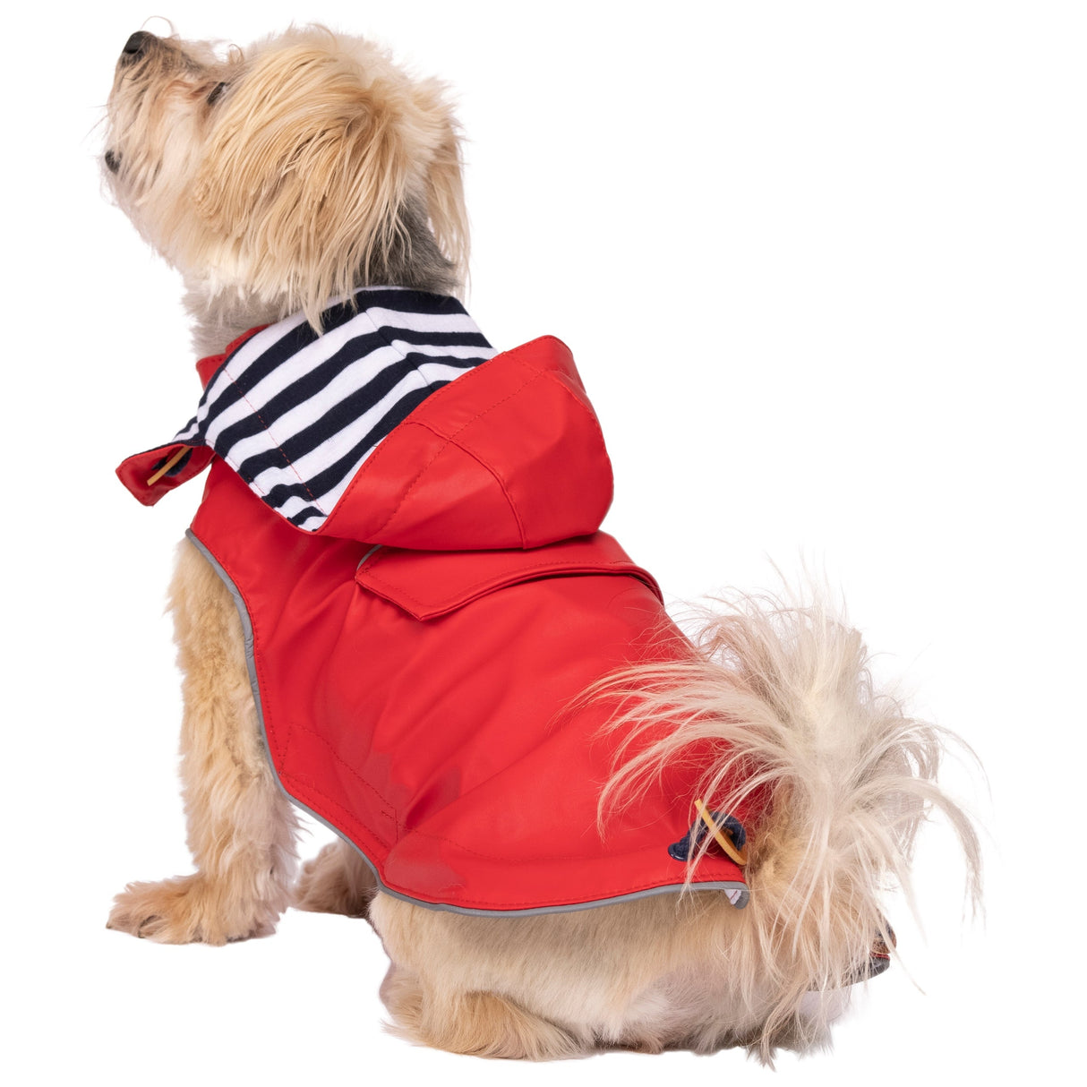 Seadog - Red - Trespass
