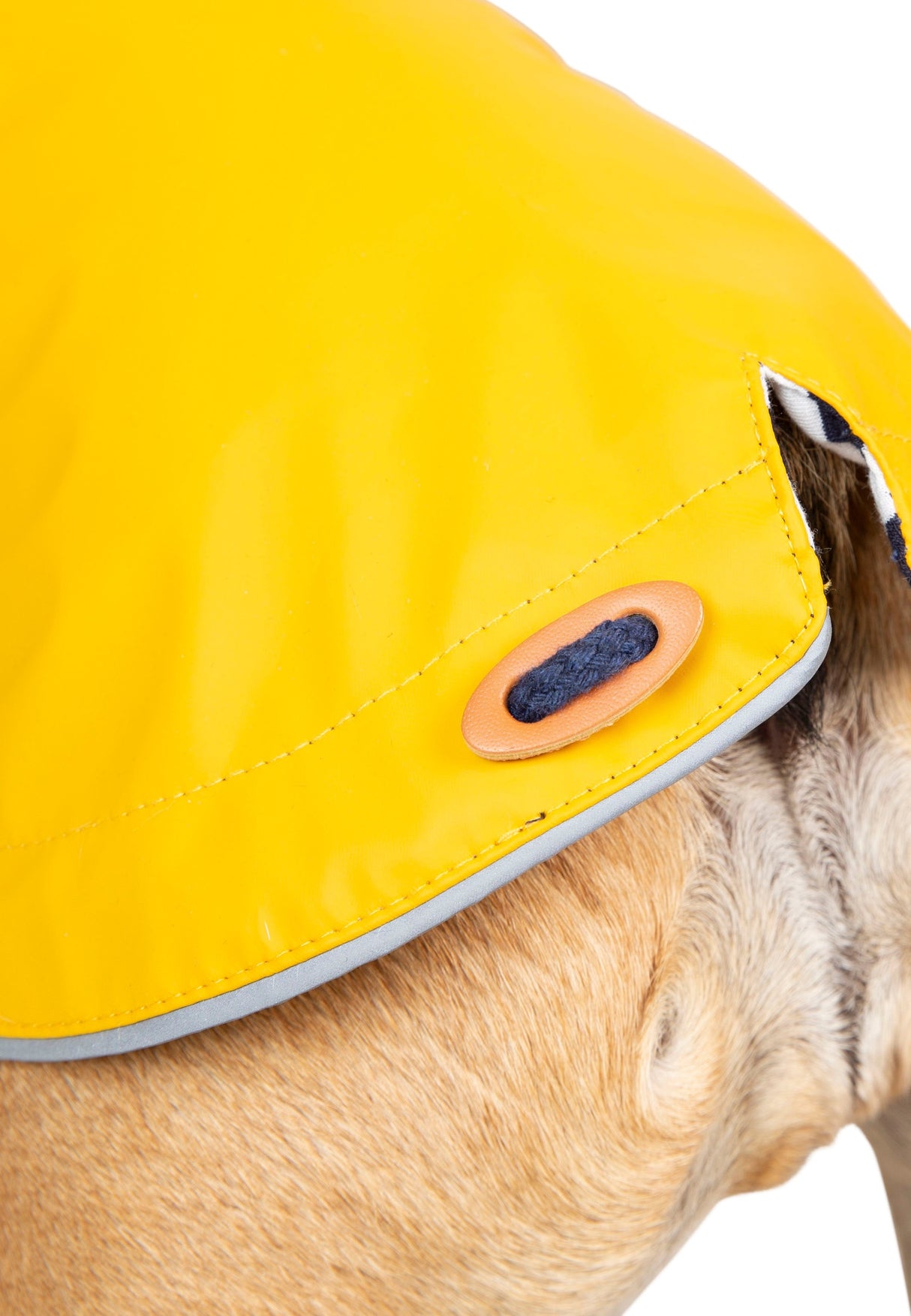 Seadog - Sunshine - Trespass