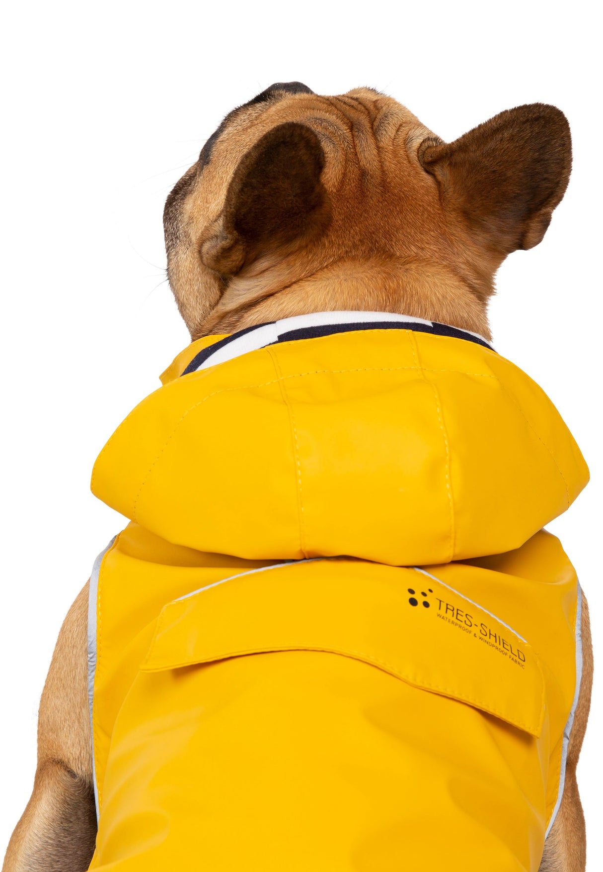 Seadog - Sunshine - Trespass