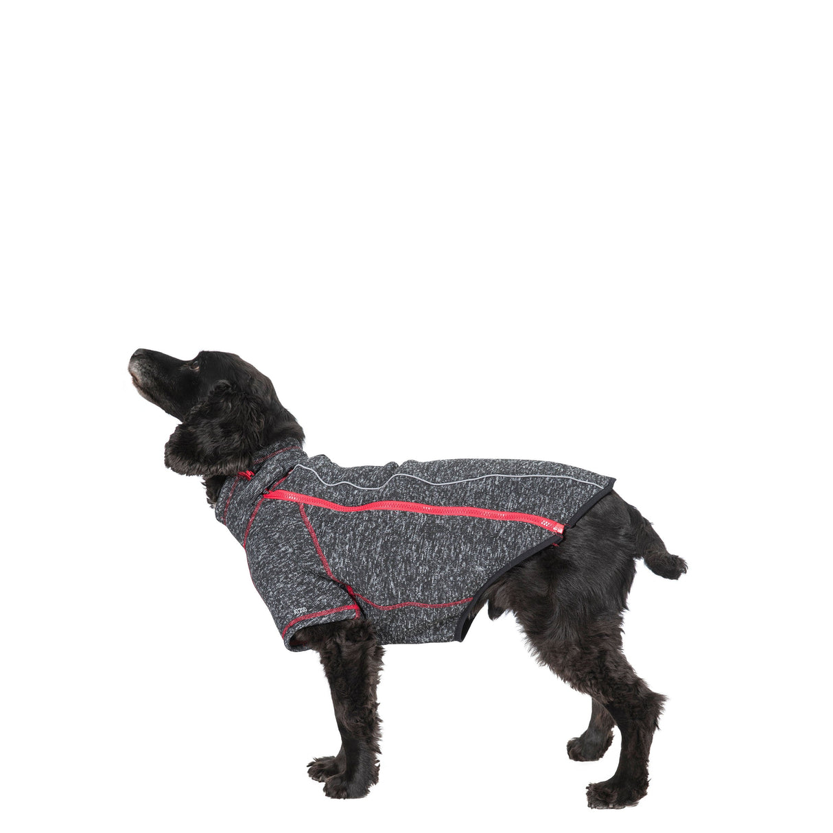 Boomer - Black Melange - Trespass