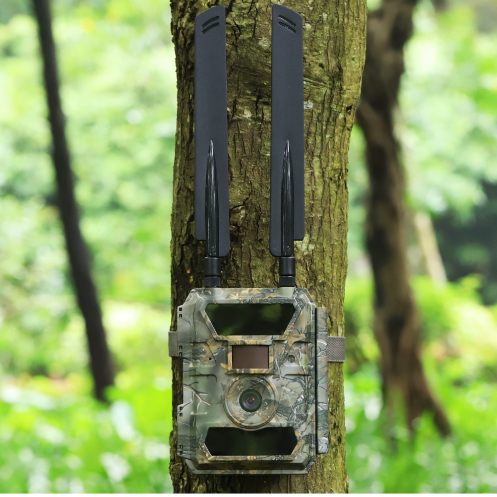 4G E-Mail/MMS Wildkamera