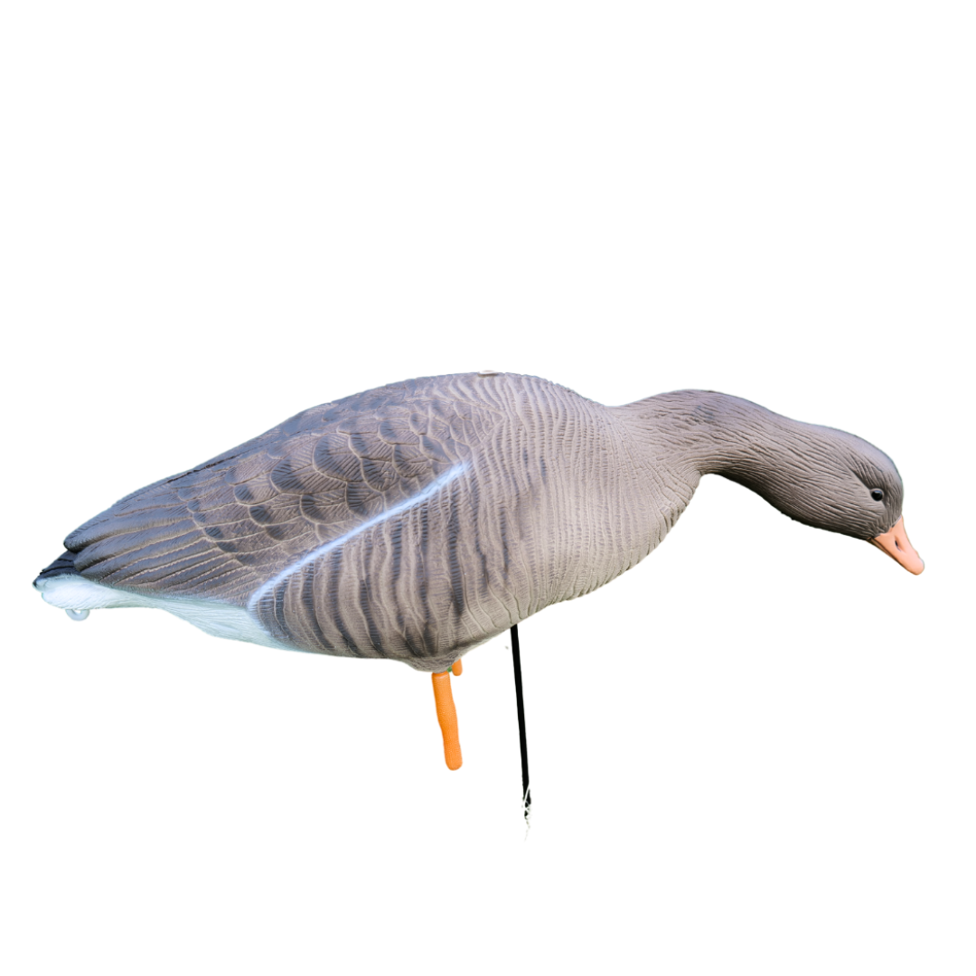 Ganzkörper - Graugänse - 12 Stück - HuntElite