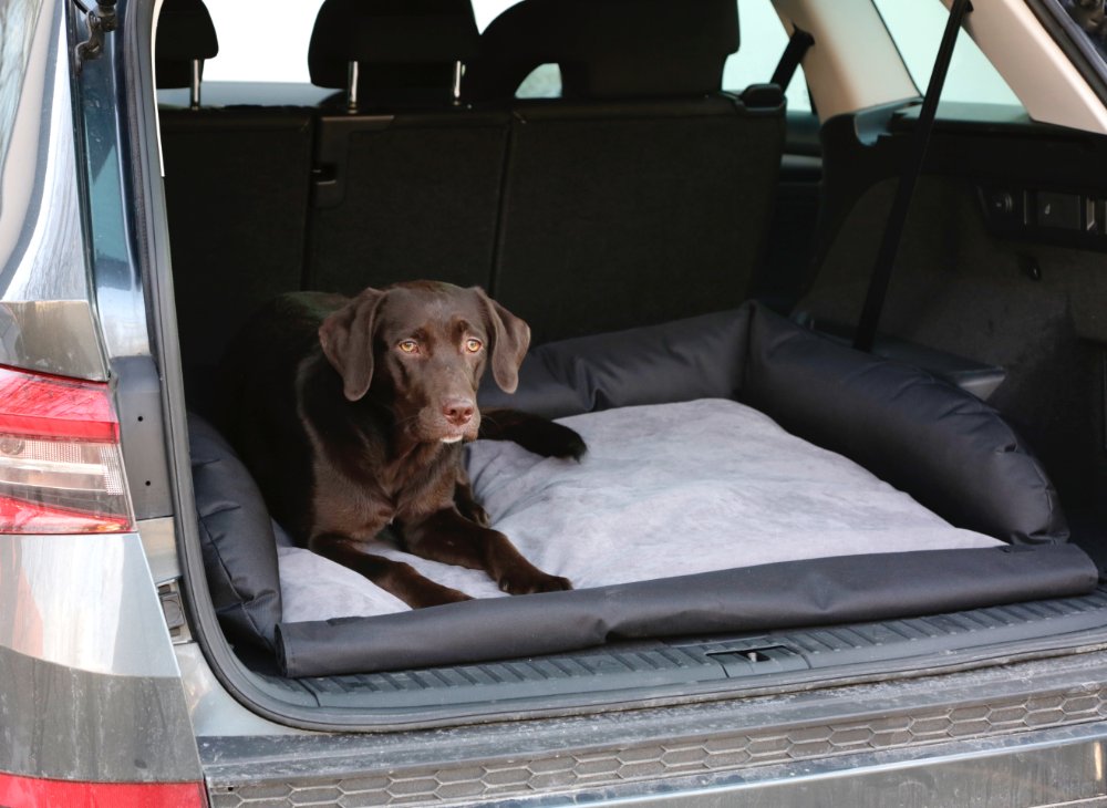Hundebett für das Auto – 80x60 cm – Kerbl