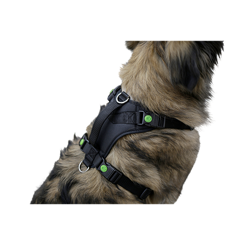 Hundegeschirr Pulsive – Hals 62–85 cm – Brust 72–96 cm – Kerbl