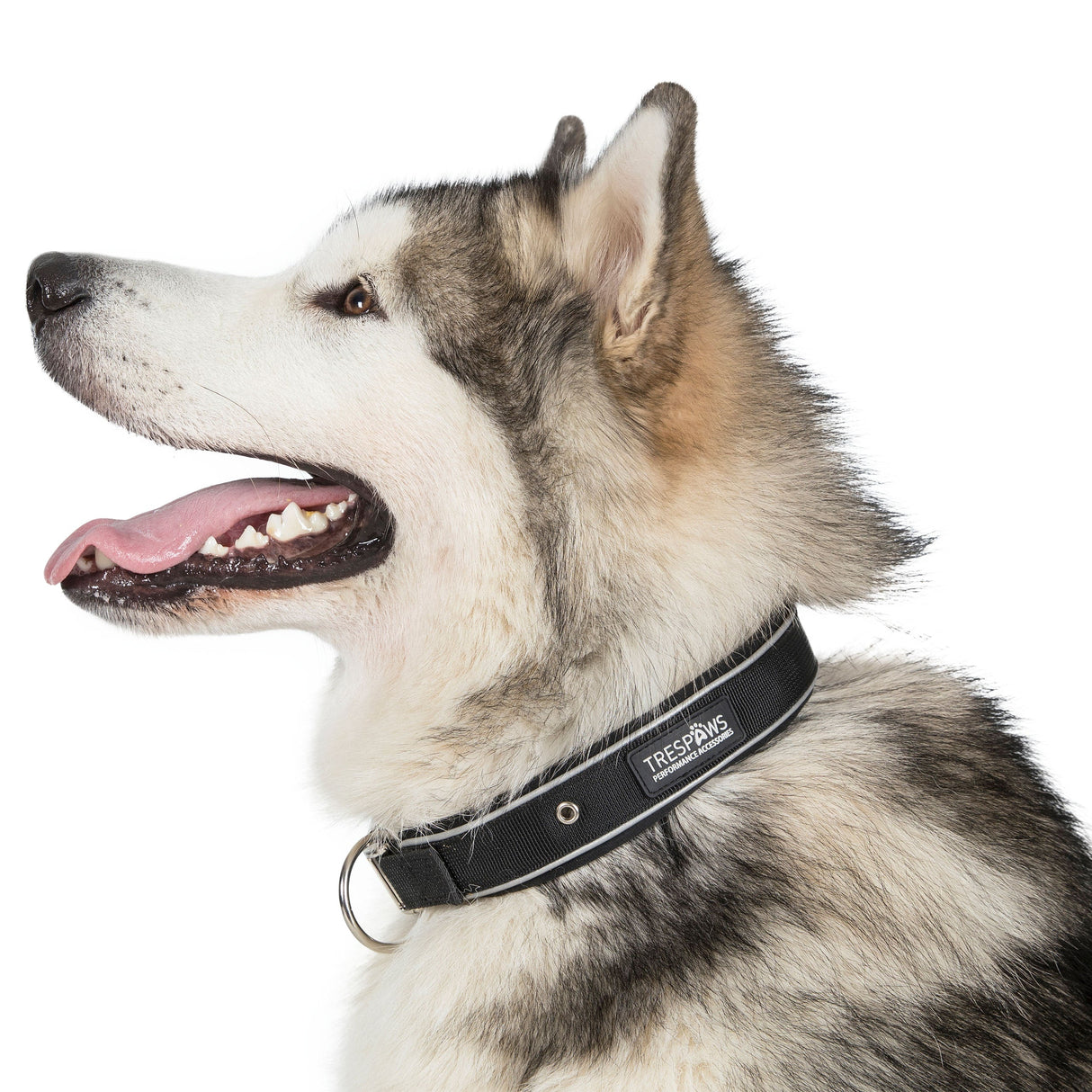 Keira - Black - Trespass