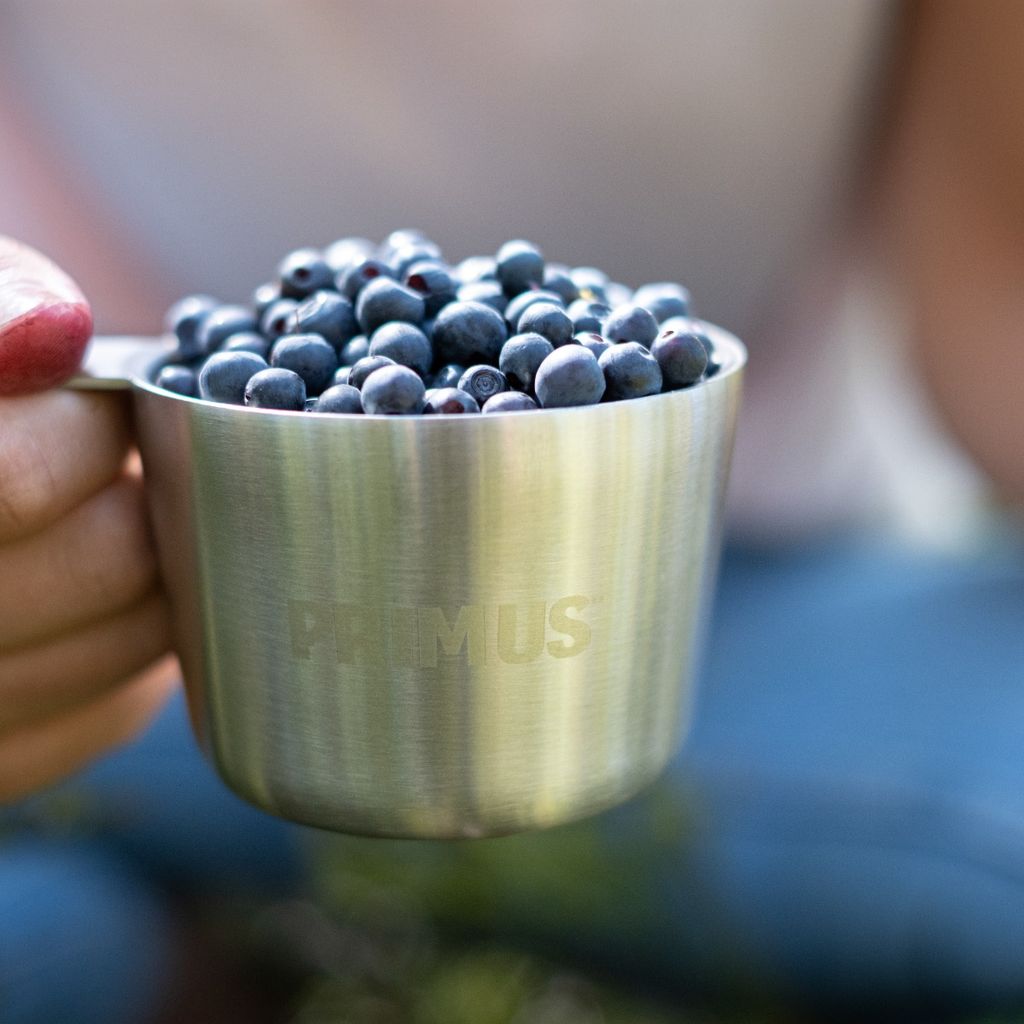 Kasa Becher – Primus