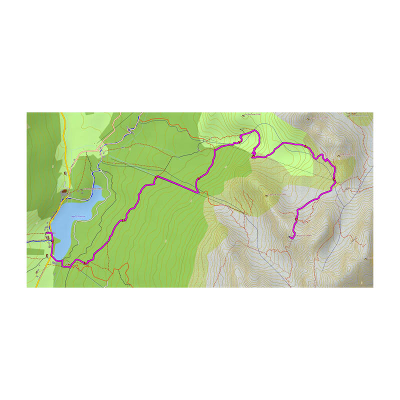 MicroSD™/SD™ kort: TrekMap Italia v6 PRO 2
