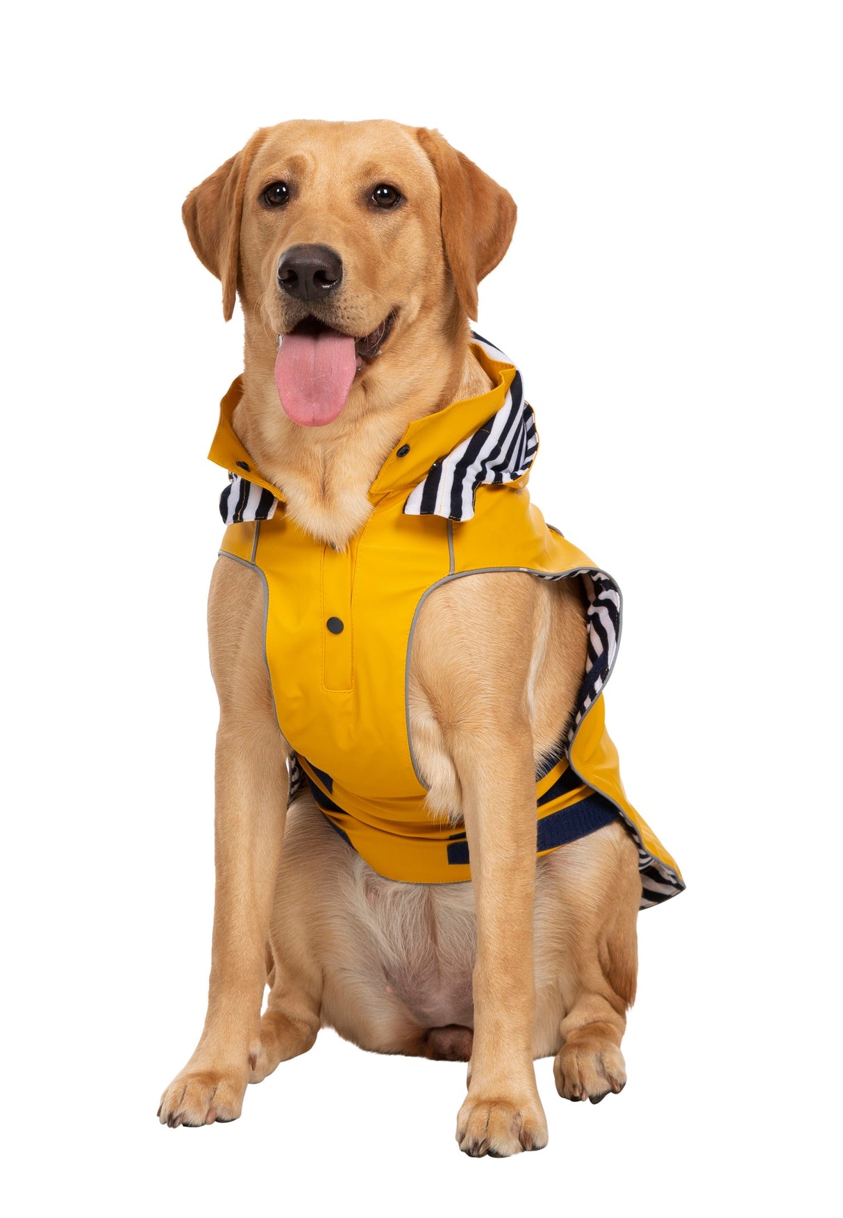 Seadog - Sunshine - Trespass