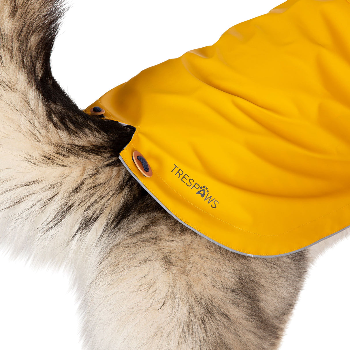 Seadog - Sunshine - Trespass