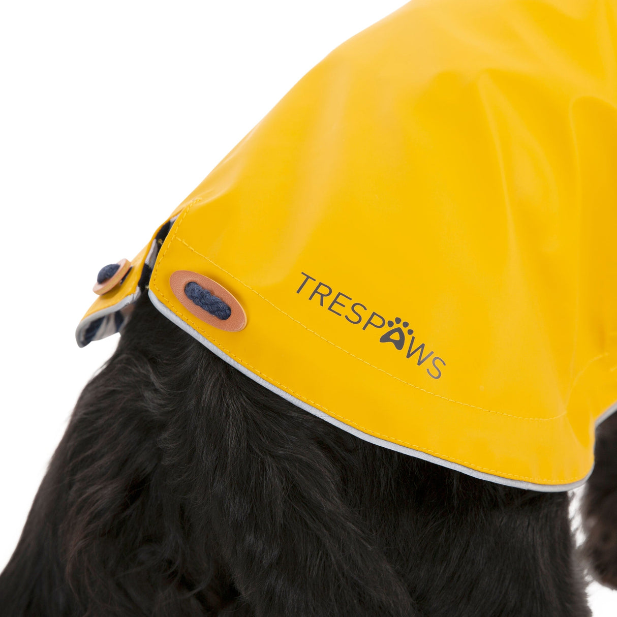 Seadog - Sunshine - Trespass