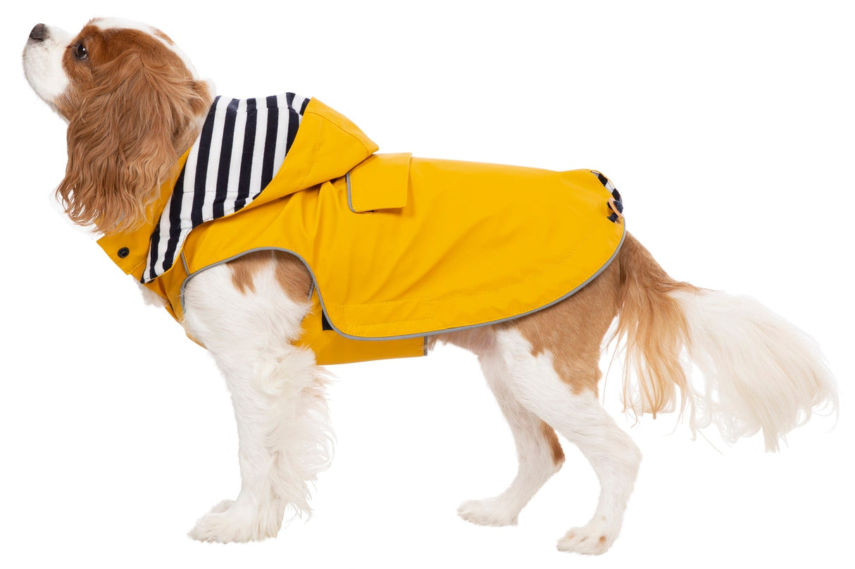 Seadog - Sunshine - Trespass