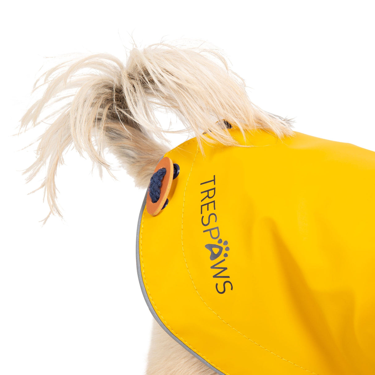 Seadog - Sunshine - Trespass