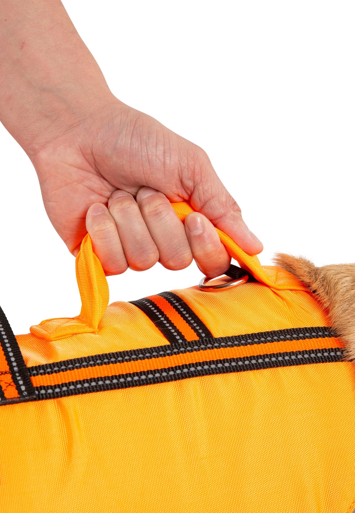 Surfdog - High Vis - Trespass
