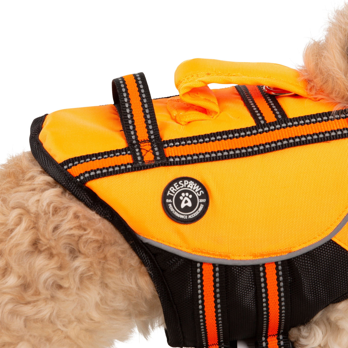 Surfdog - High Vis - Trespass
