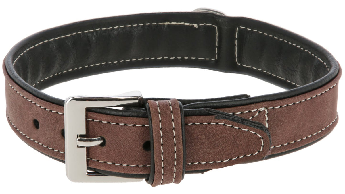 Halsband California Kunstleder – 20 mm – 32–38 cm – Kerbl