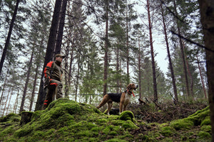 Pro Hunter Dog Keeper GTX Jacke Willow green/Orange - Härkila