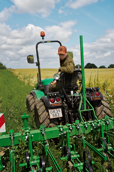 Kamko Fleecejacke Dark olive/Arabian spice - Härkila