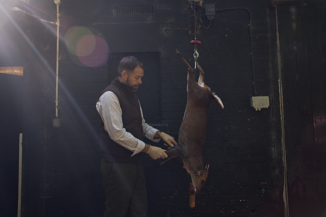 Sherpa Fleeceweste Demitasse brown – Härkila