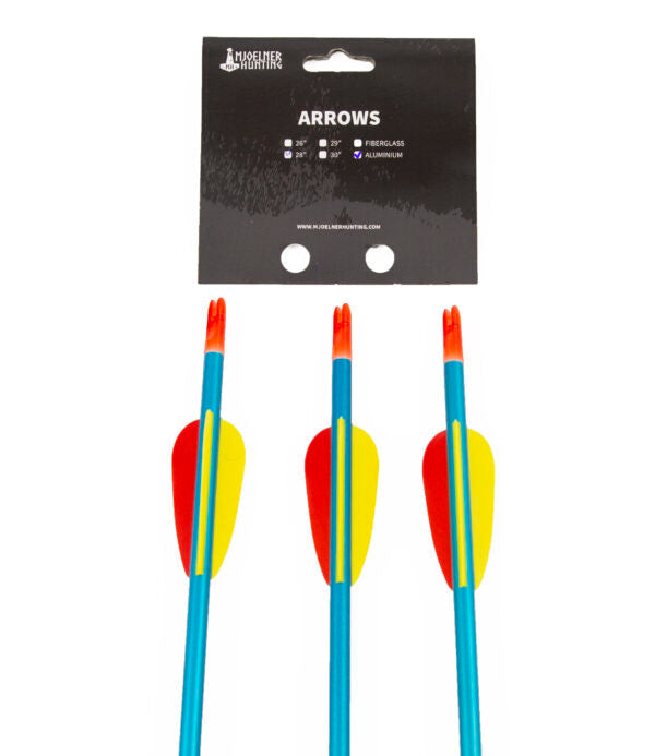 3 Aluminiumpfeilen 29"