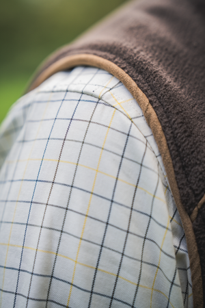 Portfield Langarmhemd - Grape leaf - Härkila