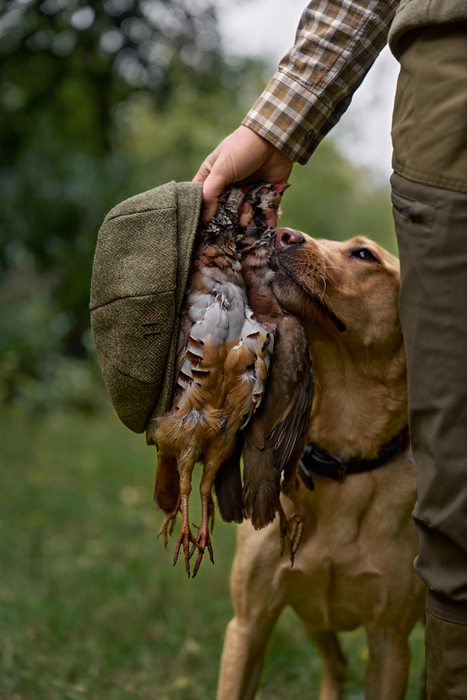 Baker-Boy-Mütze Forest green/Fischgrätmuster – Härkila