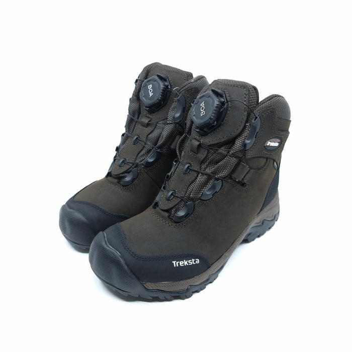 Lynx BOA - 6" GTX - Treksta